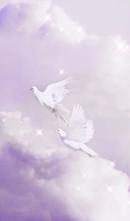 پوستری ناواضح با رنگ زمینه‌ ی بنفش و براق 2 کبوتر سفید در حال پر گشودن