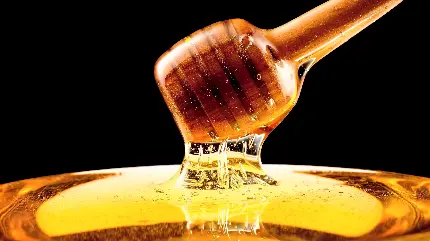 دانلود تصویر زمینه جالب توجه از عسل شفاف و خوشمزه برای دسکتاپ 
