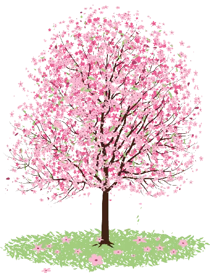 تصویر خوشگل PNG از درخت با شکوفه های ناز صورتی 