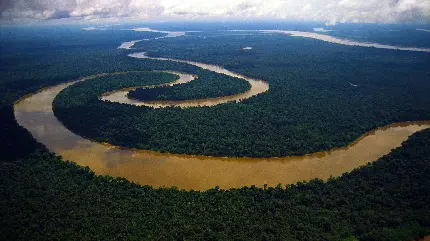 عکس هایی زیبا از طبیعت رودخانه آمازون دومین رودخانه بزرگ دنیا