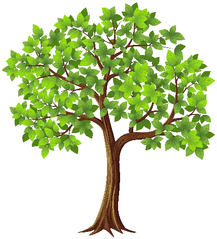 چاپ پوستر تصویر گرافیکی دلنشین درخت بدون زمینه مختص گوشه صفحه ورد
