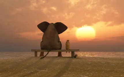 دوستی بانمک فیل و سگ در غروب دریا مناسب پروفایل تلگرام و واتساپ 