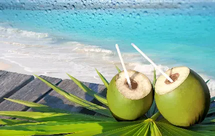 تصویر استوک تماشایی نوشیدنی خوشمزه نارگیل سبز در فضای ساحل دریا با کیفیت Full HD