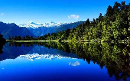 تصویر زمینه رویایی از طبیعت سرسبز کنار دریاچه برای ویندوز 12