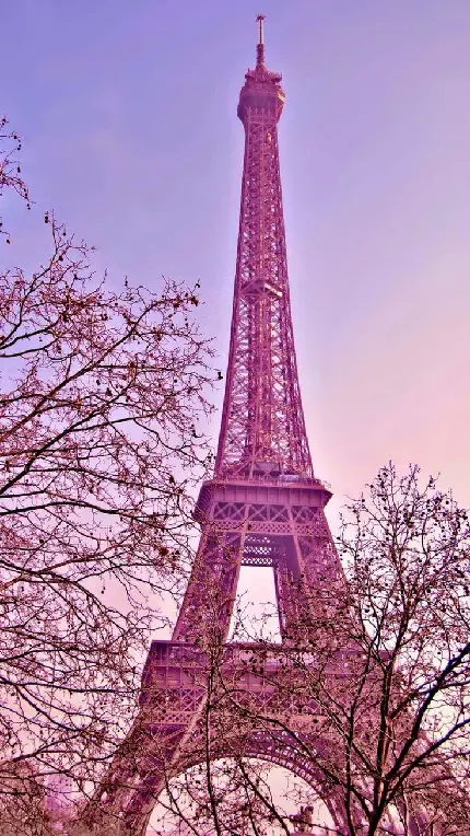 تصویر جدید برج ایفل در غروب صورتی برای زمینه موبایل 