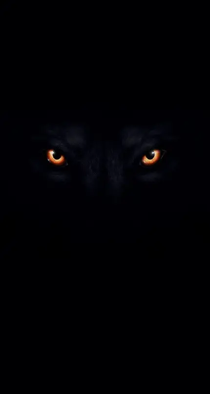پوستر ترسناک و تاریک از گرگی با چشمانی با ترکیب سە رنگ مشکی کرم و قرمز