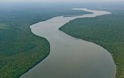 تصویر رودخانه آمازون دومین رودخانه بزرگ جهان از نمای بالا