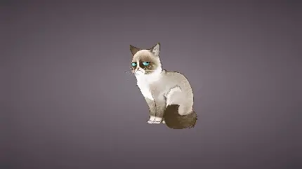 پربازدیدترین نقاشی گربه خسته با کیفیت Full HD 