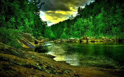 تصویر دیجیتالی و تازە از رودخانه آمازون با تودەی زرد و مشکی رنگ در آسمان جنگلش باکیفیت تاپ