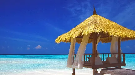 تصویر خانه ساحلی آلاچیقی آفتابگیر تکی با سقف پوشالی چوبی با آسمان آبی رنگ باکیفیت عالی
