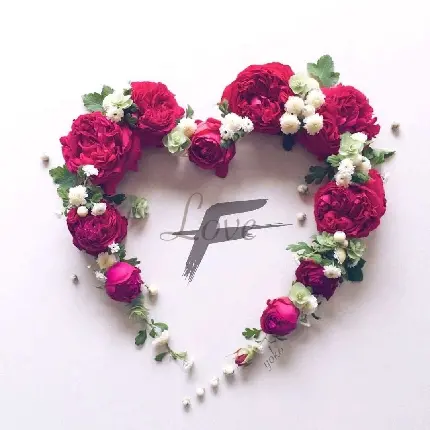 کیوت‌ترین عکس پروفایل قشنگ از حرف F با گل‌های قرمز و سفید بە شکل قلب باکیفیت عالی مناسب گوشی