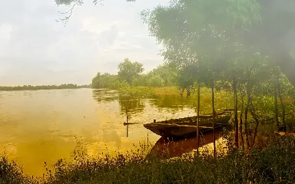 تصویر استوک مەآلود طبیعت زندە و عکس منظره بیشە جنگلی و قایقی سادە در جوارش