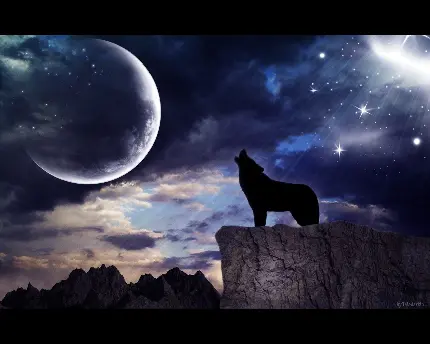 تصویر تحسین برانگیز از گرگ و ماه با کیفیت HD 