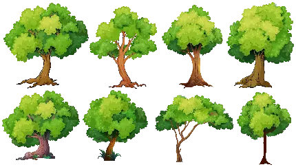 دانلود PNG معروف با طرح انواع درخت با کیفیت عالی 