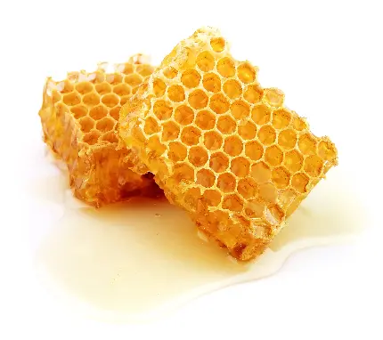 دانلود مجموعه 40 عکس عسل طبیعی و لذیذ برای تبلیغات و پروفایل