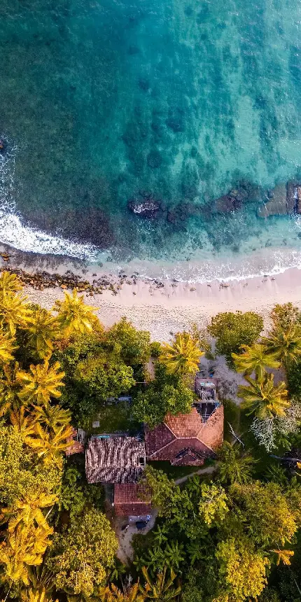 پوستر دلفریب از نمای بالا از خانه ساحلی ویلای دارای آفتابگیر  و درختان انبوە مقابل دریای بیکران