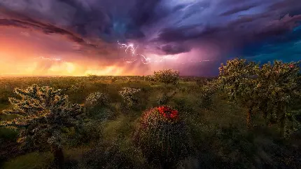     تصویر 8K شاهکار از منظره سرسبز در غروب رنگین آسمان 
