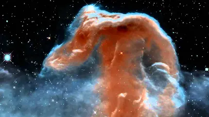 عکس پرووفایل قشنگ از نمای نزدیک سحابی سر اسب در میان ستارە‌های آسمان