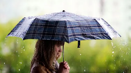 دانلود پس زمینە دختر ناز و معصوم با چتری شطرنجی آبی رنگ در باران واقعی