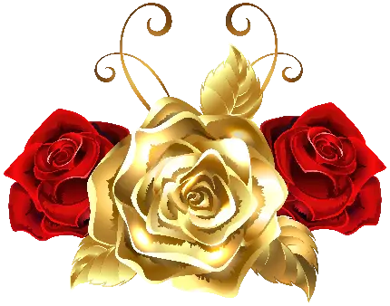 تصویر گل رز سرخ و طلایی زیبا برای ادیت در برنامه اینشات 