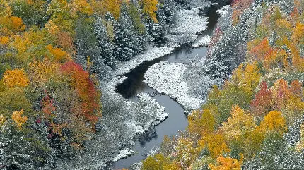 Nature Widescreen Wallpaper با طرح محبوب و دوست داشتنی 