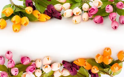 دانلود تصویر زمینە تزیینی با گل‌های لالە صورتی و شرابی و نارنجی و سفید مناسب عروس