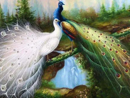 تصویری فانتزی و عشقولانه از دو طاووس سفید و رنگی روی پلی سبز در جنگل