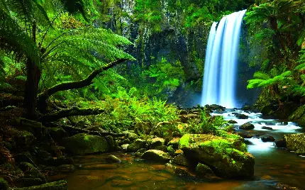 والپیپر بە یادماندنی خاص گوشی آیفون از منظرە آبشار بی‌ بدیل کنار جنگل و رودخانه آمازون