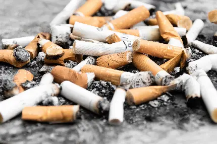 عکس پروفایل باب روز خاص اینستاگرام از تە سیگارهای دود شدە دو رنگ