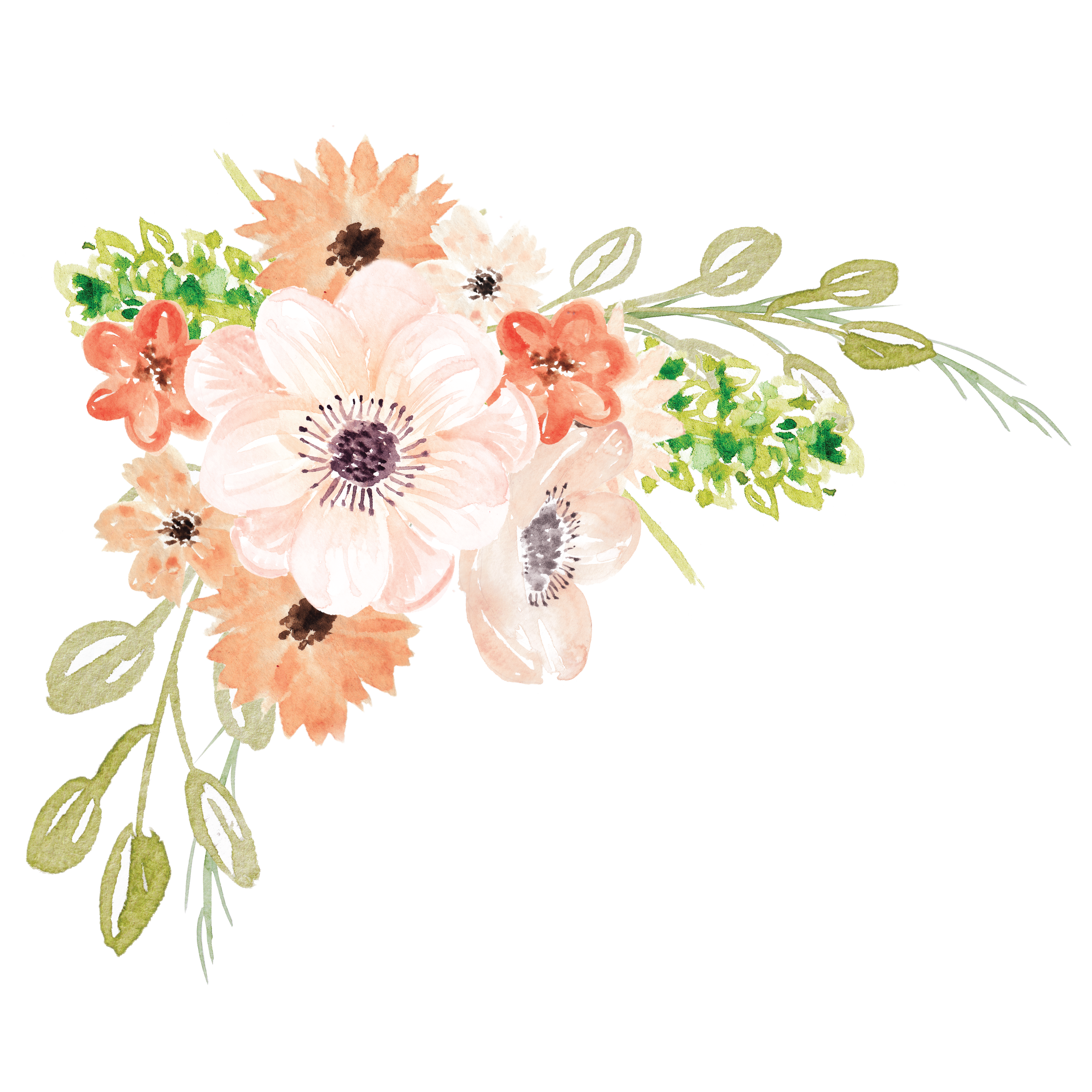 دانلود وکتور گل زیبا به رنگ صورتی ملایم مخصوص پاورپوینت 