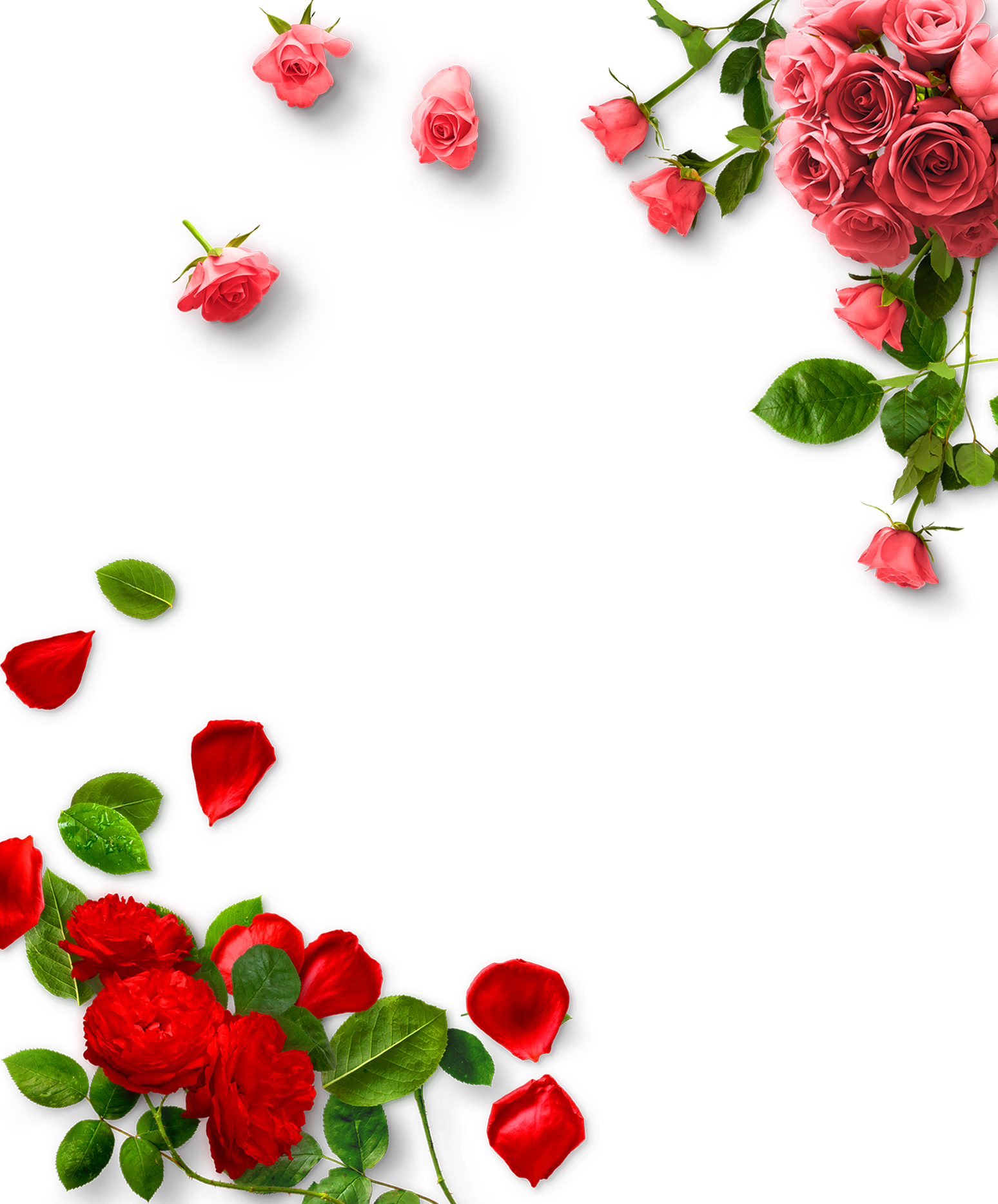 تصویر گرافیکی با طرح حاشیه گل قرمز برای پاورپوینت 