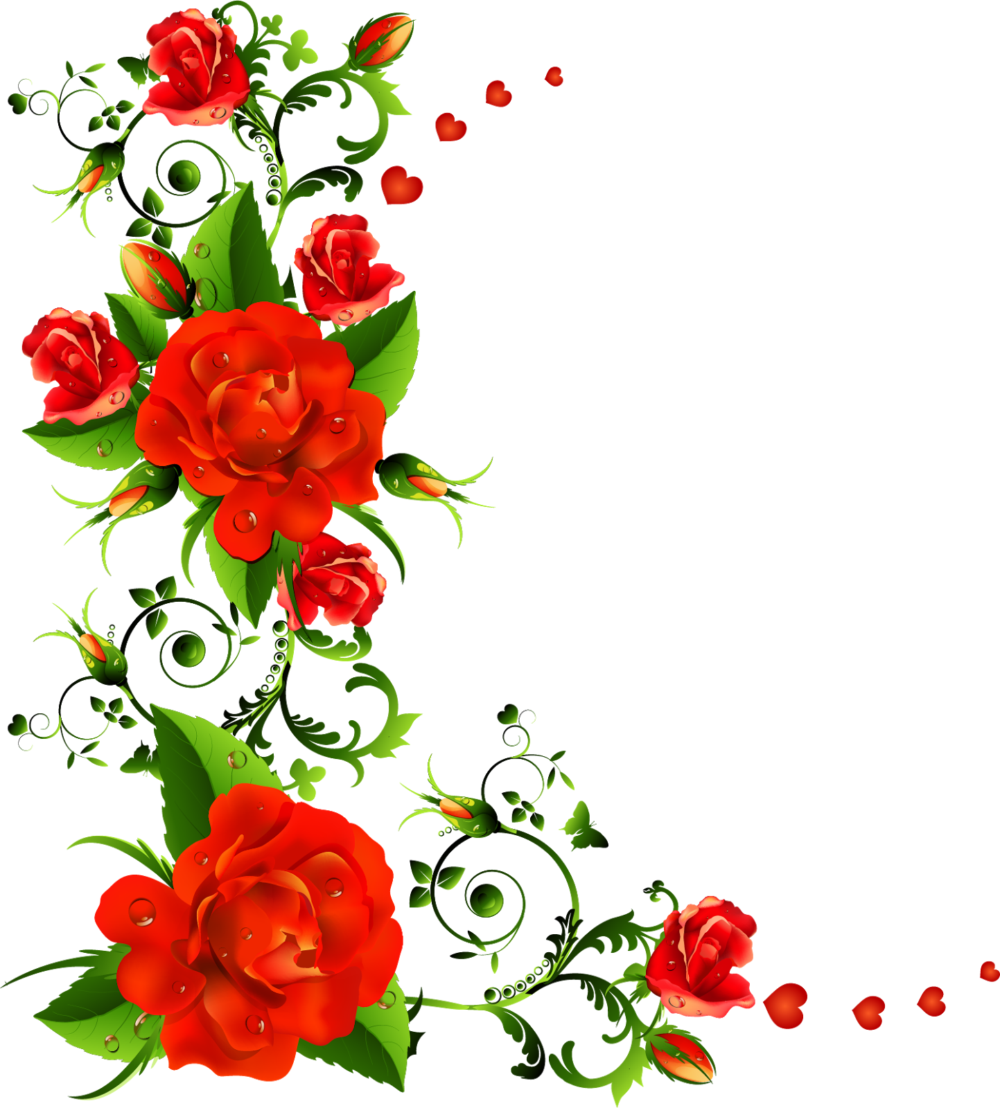 تصویر زمینه خام گل قرمز مناسب گوشه صفحه پاورپوینت 