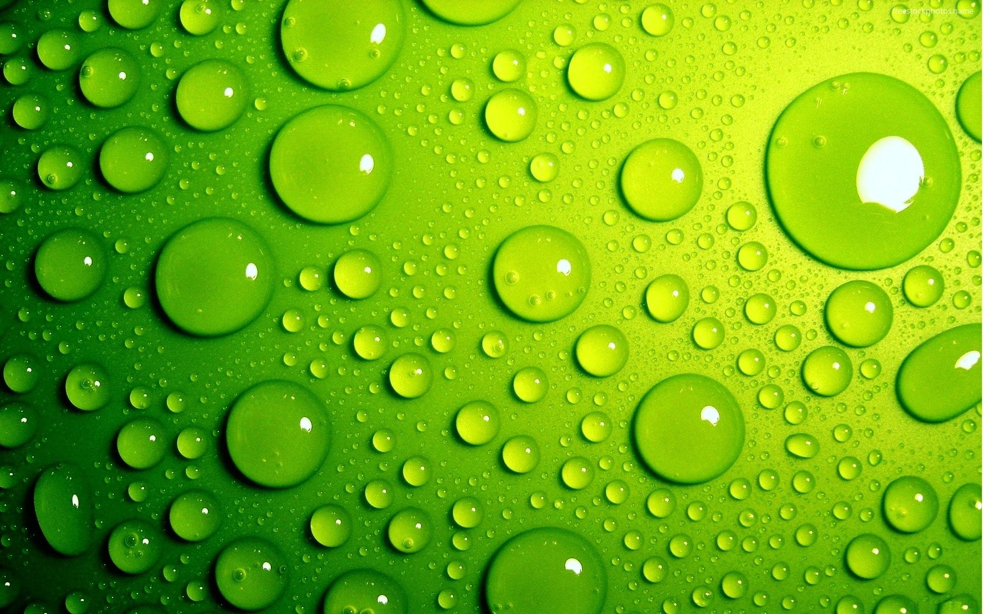 زیباترین تصویر سه بعدی ماکرو قطره های آب روی صفحه سبز 