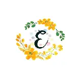 چاپ قاب موبایل و گوشی کاور هایلایت بسیار با کیفیت از حرف E برای اینستاگرام 