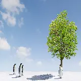 چاپ قاب موبایل و گوشی بک گراند بامزە طبیعت برفی و عکس منظره درختی سبز و پنگوئنی در سایە‌اش با سە پنگوئن در سوی دیگر