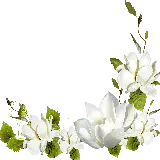چاپ قاب موبایل و گوشی گل زیبای سفید در یک نمای گرافیکی رویایی برای کلیپ