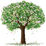 چاپ قاب موبایل و گوشی جذاب ترین عکس گرافیکی با طرح درخت خوشگل پرشکوفه