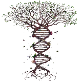 چاپ قاب موبایل و گوشی تصویر گرافیکی تحسین برانگیز از درخت به شکل رشته DNA در هم پیچیده برای پروفایل