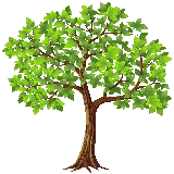 چاپ قاب موبایل و گوشی تصویر گرافیکی دلنشین درخت بدون زمینه مختص گوشه صفحه ورد