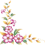 چاپ قاب موبایل و گوشی پی ان جی پرطرفدار گل برای ادیت تصویر در اینشات 