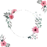 چاپ قاب موبایل و گوشی دانلود کادر گل PNG دوربری شده برای چاپ کارت پستال 