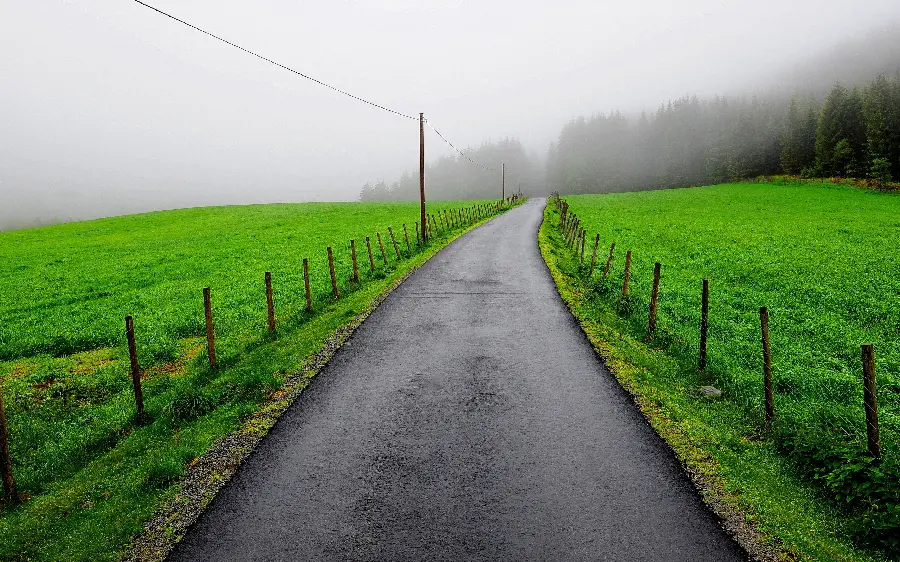 تصویر آرامش بخش جاده در طبیعت سبز با هوای پاک و مه آلود