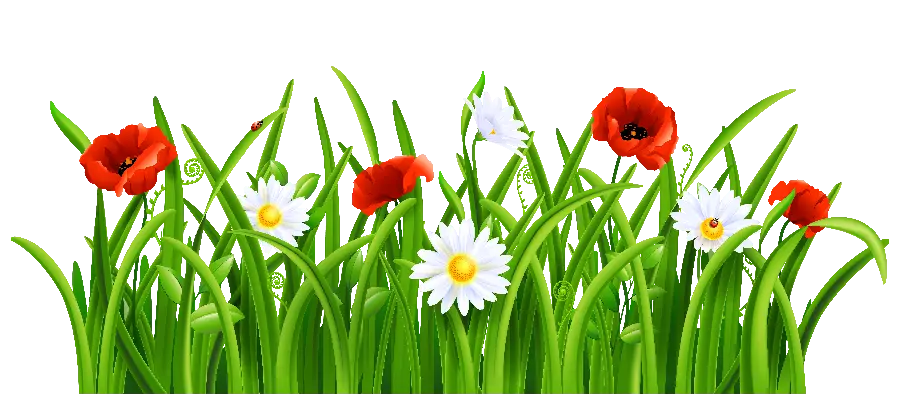 png گل های بهاری دلبر برای ساخت کارت تبریک سال نو