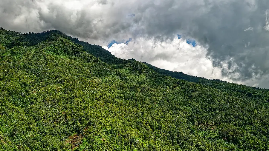 والپیپر Ultra HD 3840 x 2160 منظره سرسبز زیر آسمان ابری