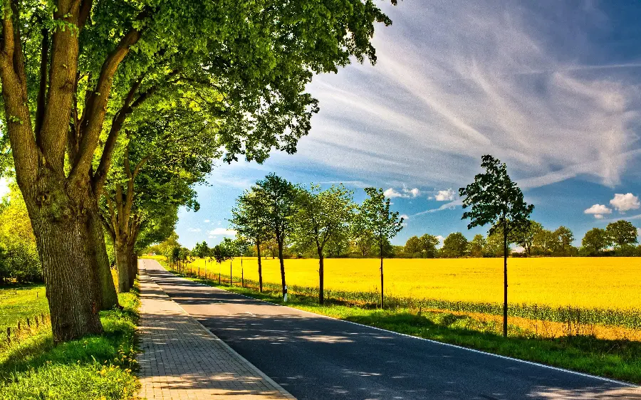 نمای jpg جاده بهاری در دل طبیعت خوش آب و هوا