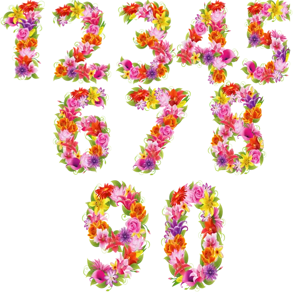 عکس اعداد ریاضی ۱ تا ۹ با گلهای بهاری