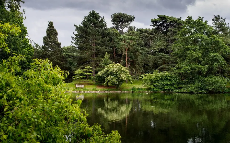 عکس زمینه جذاب طبیعت nature full hd با طرح انعکاس درختان سبز در آب