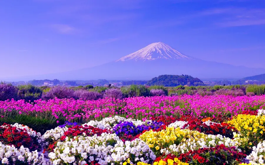 عکس بهاری زیبا دشت گل های رنگارنگ HD برای پروفایل واتساپ
