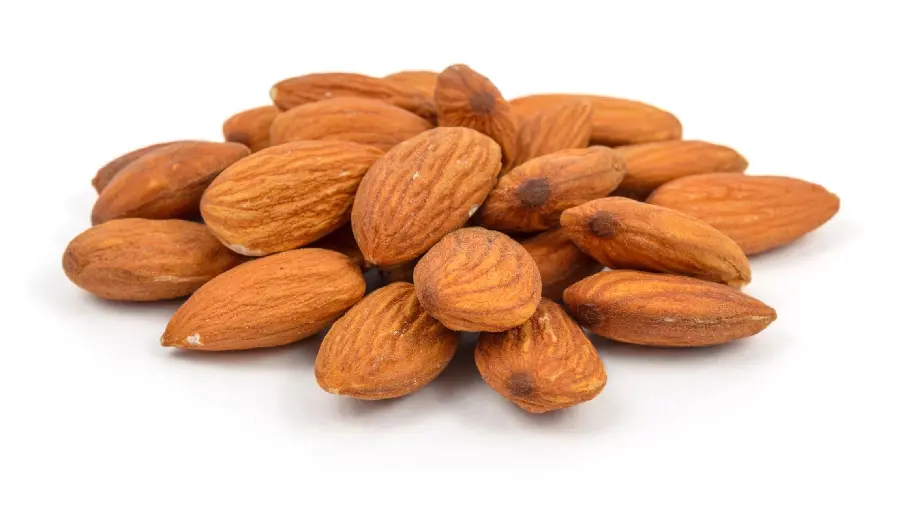 معروف ترین عکس بادام درختی با زمینه سفید ساده