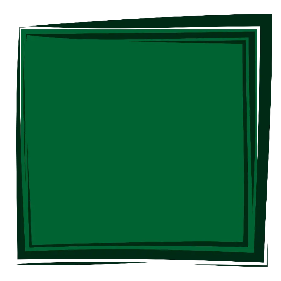 قاپ شیک و سبز رنگ مربع با خطوط مشکی اطراف آن